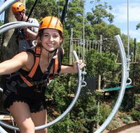 Wild Ropes at Taronga Zoo - Accommodation Gladstone