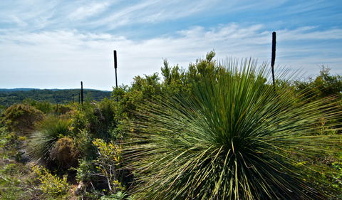 Munmorah State Conservation Area - Accommodation Gladstone 1