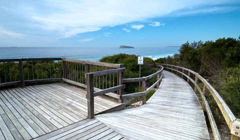 Tea Tree Picnic Area And Lookout - Accommodation Gladstone 0