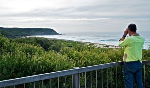Tea Tree Picnic Area And Lookout - Accommodation Gladstone 2
