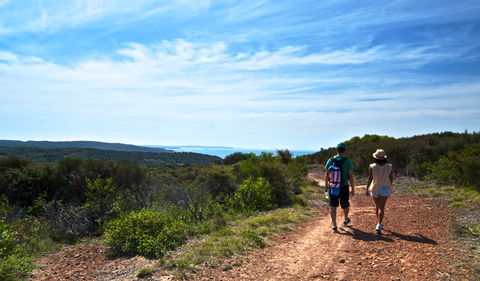 Moonee Beach Trail - Accommodation Gladstone 0