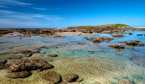 Moonee Beach Trail - Accommodation Gladstone 2