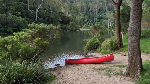 Nymboi-Binderay National Park - Accommodation Gladstone 1