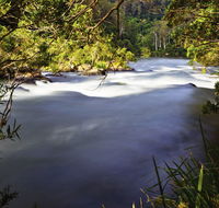 Nymboi-Binderay National Park - Accommodation Gladstone