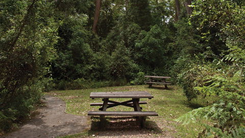 Nymboi-Binderay National Park - Accommodation Gladstone 3