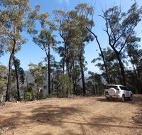 Wadbilliga Road drive - Accommodation Gladstone