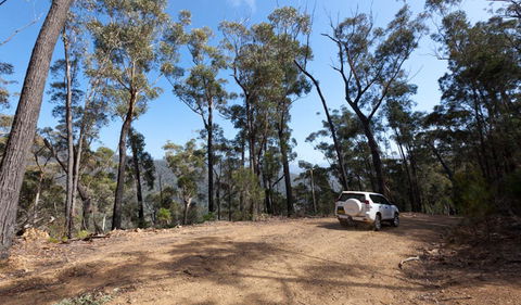Wadbilliga Road Drive - Accommodation Gladstone 0