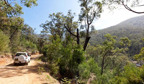 Wadbilliga Road Drive - Accommodation Gladstone 1