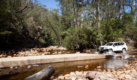 Wadbilliga Road Drive - Accommodation Gladstone 2