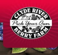 Clyde River Berry Farm - Accommodation Gladstone