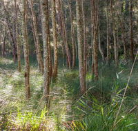 Anabranch loop track - Accommodation Gladstone
