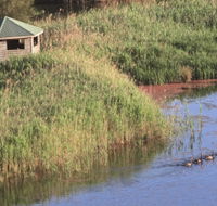 Spring Creek Bird Hide - Accommodation Gladstone