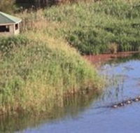 Spring Creek Wetlands Walk - Accommodation Gladstone