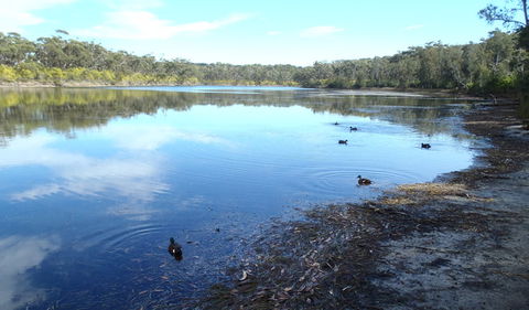 Conjola National Park - Accommodation Gladstone 1