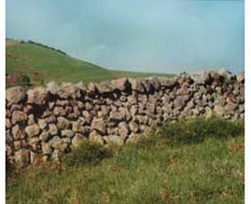 Historic Dry Stone Walls - Accommodation Gladstone 0