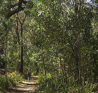 Sand track walk south - Accommodation Gladstone