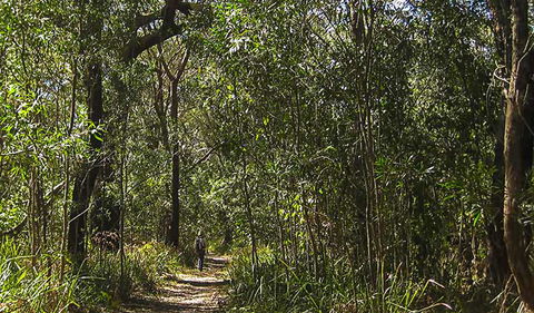 Sand Track Walk (south) - Accommodation Gladstone 0