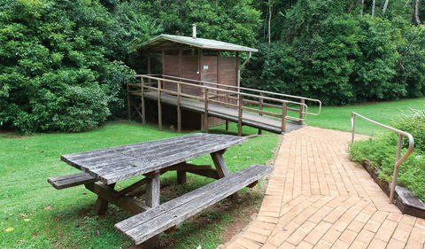 The Glade Picnic Area - Accommodation Gladstone 0