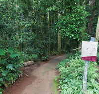 Walk with the Birds boardwalk - Accommodation Gladstone