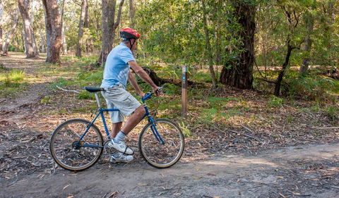 Monument Beach Ride From Bendalong - Accommodation Gladstone 0