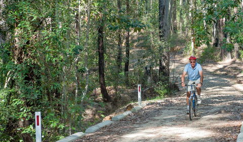 Monument Beach Ride From Bendalong - Accommodation Gladstone 2
