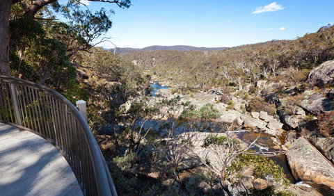 Wadbilliga National Park - Accommodation Gladstone 0