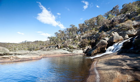 Wadbilliga National Park - Accommodation Gladstone 1