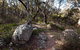 Wadbilliga National Park - thumb 2