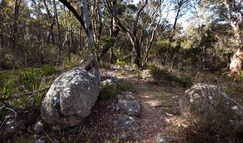 Wadbilliga National Park - Accommodation Gladstone 2