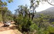 Wadbilliga National Park - thumb 3