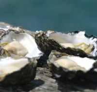 Jim Wilds Oyster Service - Accommodation Gladstone