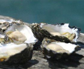 Jim Wilds Oyster Service - Accommodation Gladstone 0