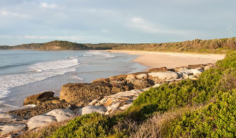 Burrawang Track - Conjola Beach To Buckleys Point - Accommodation Gladstone 0