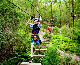 TreeTop Challenge - Accommodation Gladstone 1