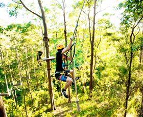 TreeTop Challenge - Accommodation Gladstone 3