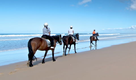 Worimi National Park - Accommodation Gladstone 1