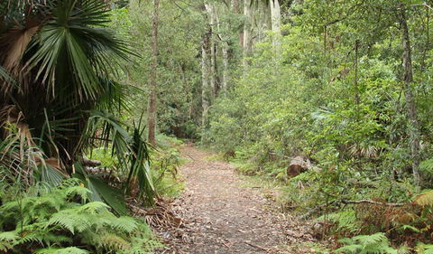 Lake Walking Track - Accommodation Gladstone 0