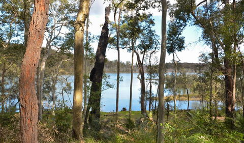 Lake Walking Track - Accommodation Gladstone 1