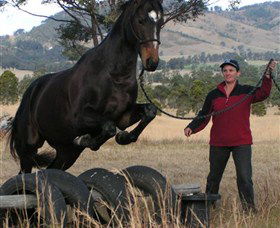 Kings Creek Saddle Club - Accommodation Gladstone 5