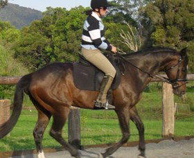 Kings Creek Saddle Club - Accommodation Gladstone 6