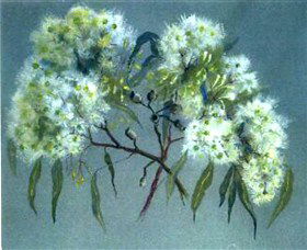 Norma Holt Studio Gallery - Accommodation Gladstone 1