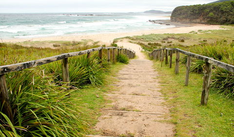 Pretty Beach To Durras Mountain Walking Track - Accommodation Gladstone 0