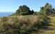 Pretty Beach To Durras Mountain Walking Track - thumb 2