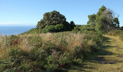 Pretty Beach To Durras Mountain Walking Track - Accommodation Gladstone 2
