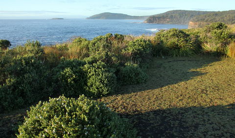 Pretty Beach To Durras Mountain Walking Track - Accommodation Gladstone 3