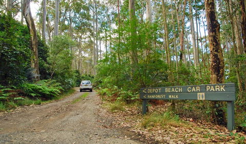 Depot Beach Rainforest Walk - Accommodation Gladstone 1