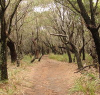 Pretty Beach to Snapper Point walking track - Accommodation Gladstone