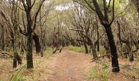 Pretty Beach To Snapper Point Walking Track - Accommodation Gladstone 0