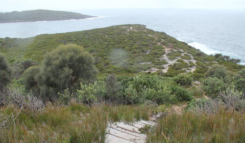 Pretty Beach To Snapper Point Walking Track - Accommodation Gladstone 2