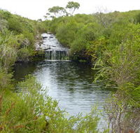 Booderee National Park Green Patch and Telegraph Creek Walking Tracks - Accommodation Gladstone